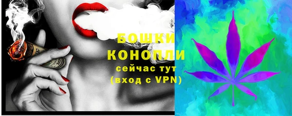 тгк Осташков