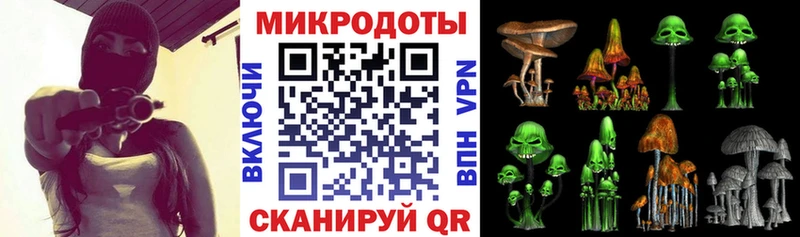 площадка наркотические препараты  сколько стоит  Богучар  Галлюциногенные грибы Psilocybine cubensis 